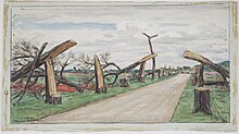 Route de Roye à Noyon: les arbres coupés, (1917).