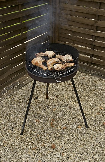 A charcoal barbecue, with six pork chops. Dord...