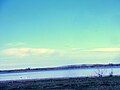 Belo jezero – White like in Banat