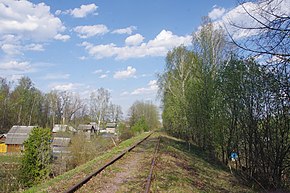 Железнодорожная ветка и дачные дома в Борисово