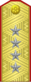 Погон, 1943–1955