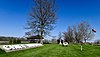 Chief Wapello's Memorial Park