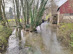 La Selle à Luzières. A gauche, l'exutoire de la pièce d'eau du château.