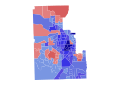 2020 United States House of Representatives election in Florida's 10th congressional district