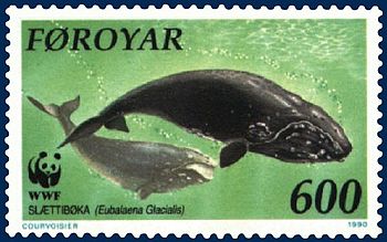 North Atlantic Right Whale on a Faroese stamp