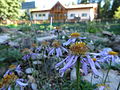 Miniatura para Jardín botánico alpino alle Viotte di Monte Bondone