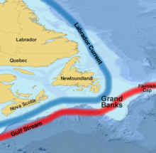 Grand Banks of Newfoundland (Banchi di Terranova), immagine di wikipedia