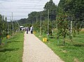 2009年9月20日 (日) 03:49時点における版のサムネイル