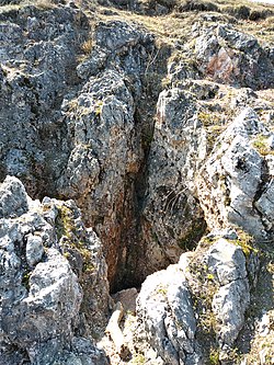 A Homok-hegyi-barlang egyik, függőleges bejárata