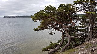 Fra naturreservatet Jungfrun