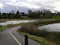 The dead hedge alongside this cycleway is protecting a wildlife pond among the 'Kingfisher Pools' at St Nicholas' Park, Warwick, England.