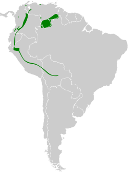 Distribución geográfica de la viudita colirrufa.