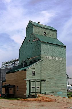 Former Alberta Wheat Pool elevator along the disused راه‌آهن کانادا پسیفیک tracks.