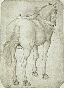 Paard van achteren gezien, inv. 2378, ca. 1433-1438, pen en potlood op papier, 20 × 16,5