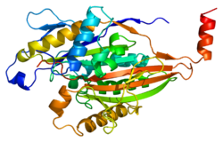 Протеин KIF5A PDB 2kin.png