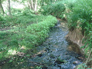 Da Rosselbrunngraben bei Unteraulenbach