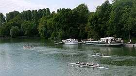 Aviron sur la Marne avec en arrière-plan l'île Saint-Catherine.