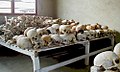 Image 7Original caption states: "Deep gashes delivered by the killers are visible in the skulls that fill one room at the Murambi School." Aftermath of Rwandan genocide.