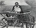 Strelets à la barbe noire dans un chariot, 1879.