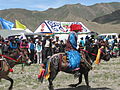 Utilisation sur un vêtement tibétain, lors d'une course de chevaux.