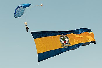 Tigers Army Parachute Display Team