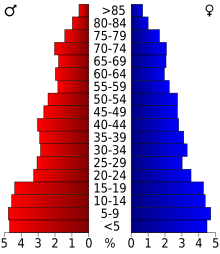 Schéma représentant la population du comté, par tranche d'âge. En rouge, à gauche, les femmes, en bleu à droite, les hommes.