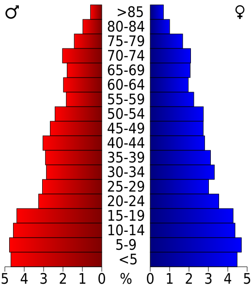 File:USA Zapata County, Texas age pyramid.svg