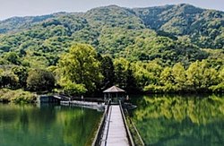 上桜公園の大正池。奥は湯吸山。