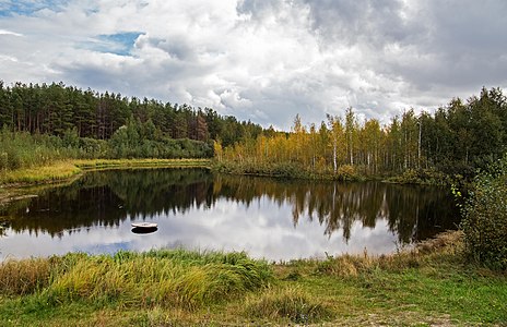 223. Озеро Моховое, Татарстан — Obsrevatoria