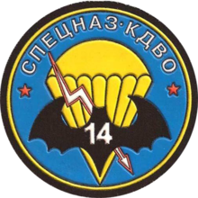 Emblème rond montrant une chauve-souris noire devant une toile de parachute jaune sur fond bleu.