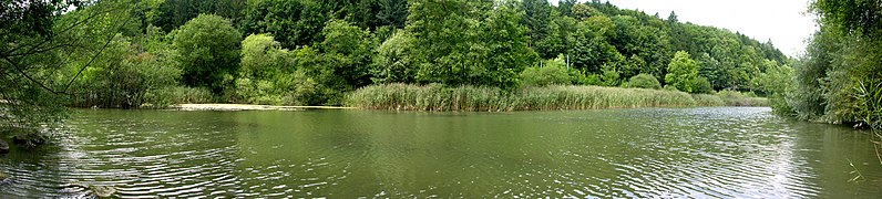 Naturschutzgebiet bei Herblingen