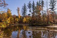 87. Platz: Derzno mit Schwanberg, Birkensee auf dem Gipfel, Iphofen, Landschaftsschutzgebiet und Naturparks Steigerwald, Vogelschutzgebiet Südlicher Steigerwald, FFH-Gebiet Vorderer Steigerwald mit Schwanberg