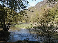 Река Ар в горах Айфеля