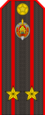 Полиция Беларуси — 05 Знак различия звания подполковник (Gunmetal) .png