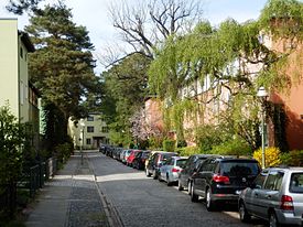 Treibjagdweg in Zehlendorf