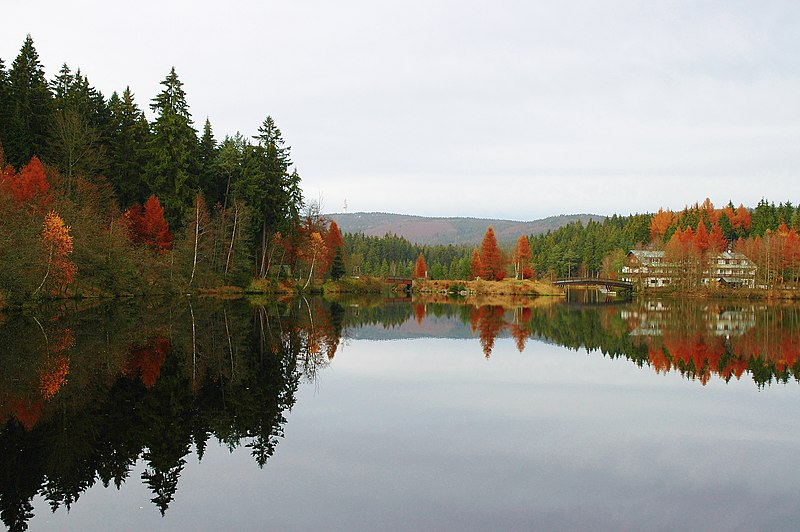 File:Blick über den Fichtelsee (von Süden).jpg