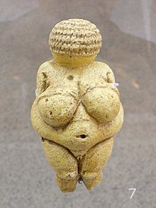 Venus of Willendorf Burgos - Museo de la Evolucion Humana (MEH), interiores 09.jpg