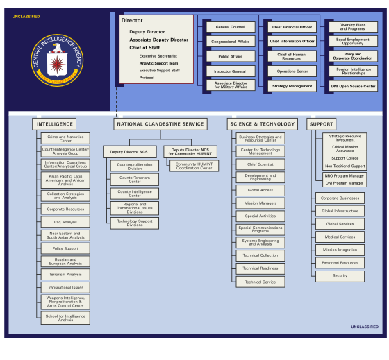 Business Intelligence Org Chart