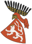 Coat of arms of the Kingdom of Bohemia (Wenceslaus II of Bohemia).svg