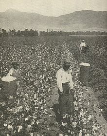 Slave Farms