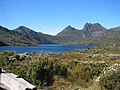 Miniatuur voor Nationaal park Cradle Mountain-Lake St Clair