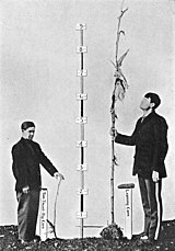 Studies of heritability ask questions such as to what extent do genetic factors influence differences in height between people. This is not the same as asking to what extent do genetic factors influence height in any one person. Critique of the Theory of Evolution Fig 076.jpg