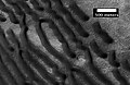 Imagem ampla de Noachis, visto pela HiRISE.