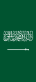 Vertical variation of the flag of Saudi Arabia.