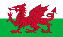 Walesi zászló
