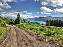 Forest path in Lochaline