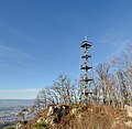 Gempenplateau mit Aussichtsturm