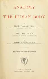 The cover of the book after which Grey's Anatomy was named. Gray's Anatomy 20th edition (1918)- Title page.png