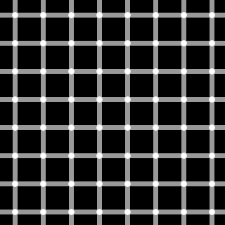 320px-Grid_illusion.svg.png