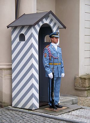 English: A guard at Prague Castle.